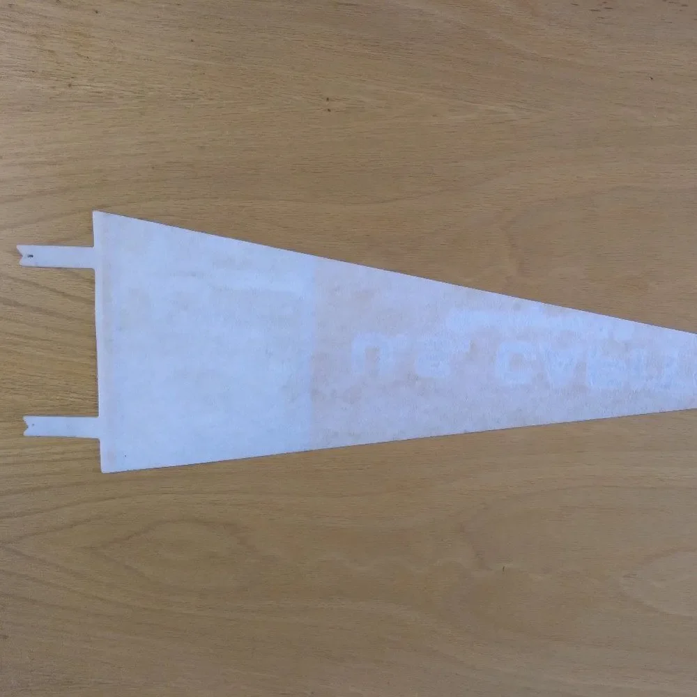 Vintage 60s U.S. Capitol Washington D.C. Pennant Flag 24